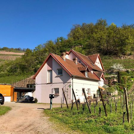 Le Gîte du Sommerberg Niedermorschwihr Exterior foto