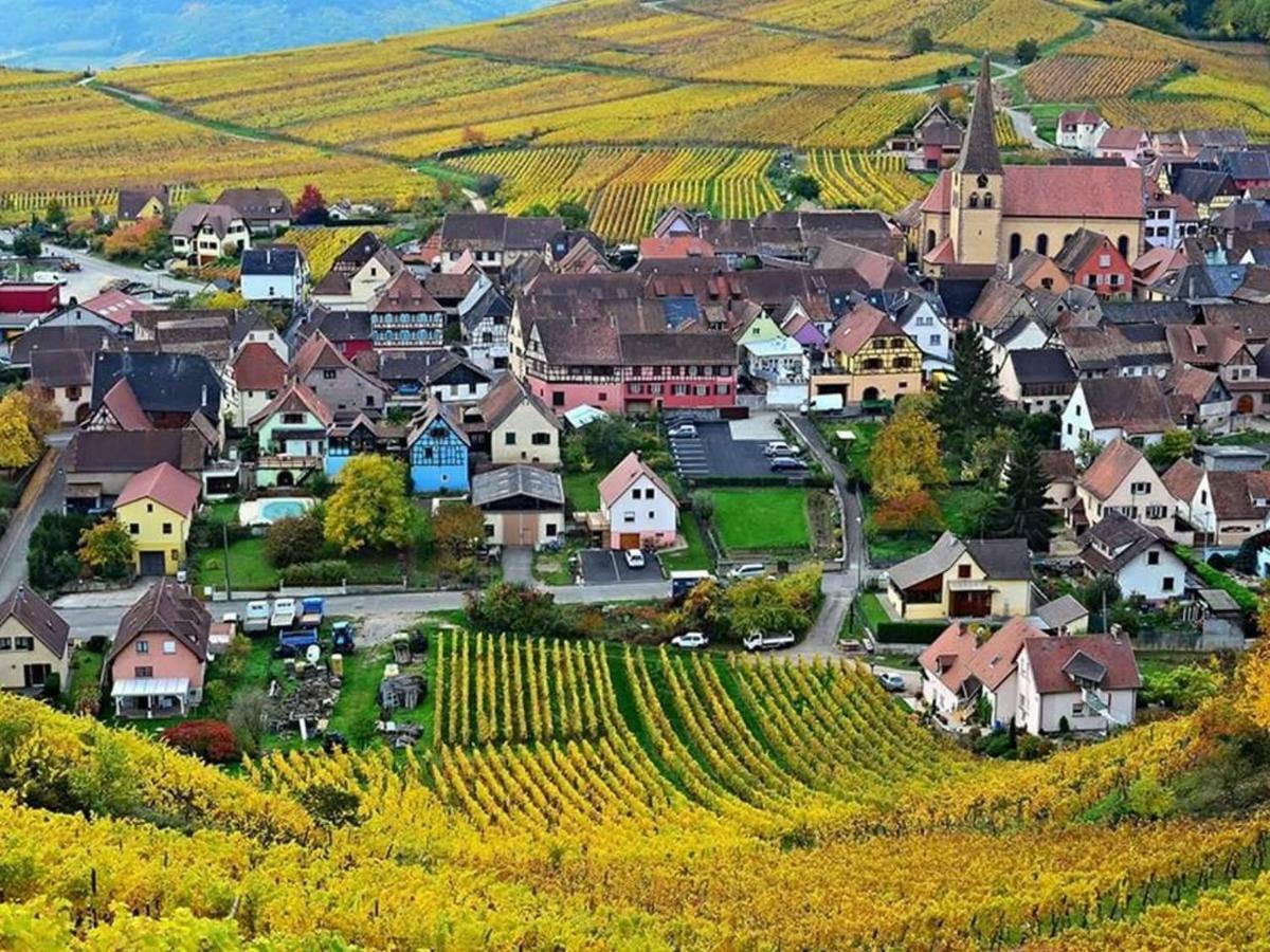 Le Gîte du Sommerberg Niedermorschwihr Exterior foto